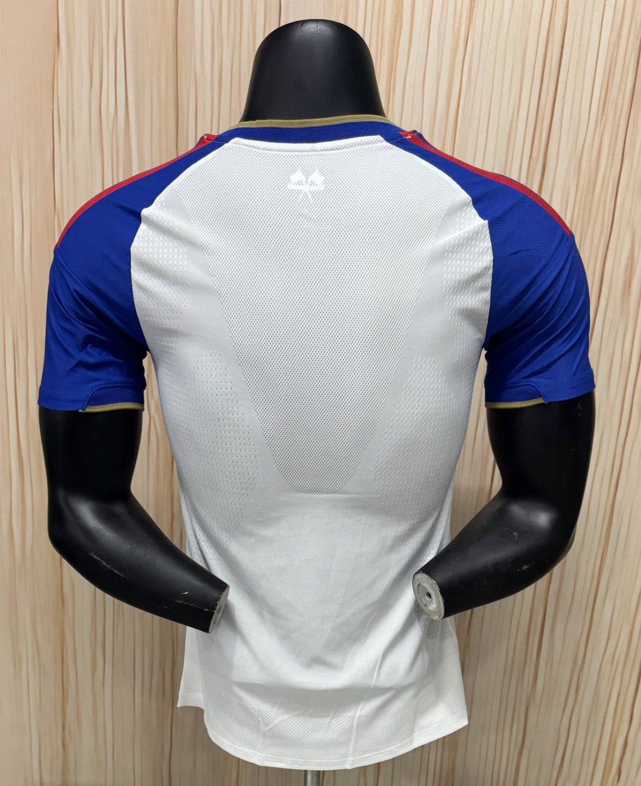 Lyon Football Jersey 2026 Fans